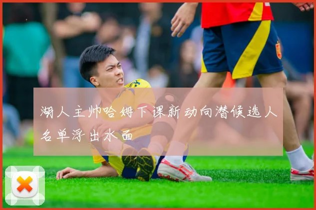 湖人主帅哈姆下课新动向潜候选人名单浮出水面