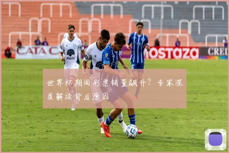 世界杯期间彩票销量飙升？专家深度解读背后原因