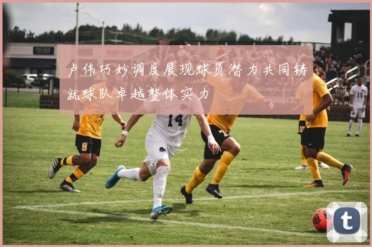 卢伟巧妙调度展现球员潜力共同铸就球队卓越整体实力