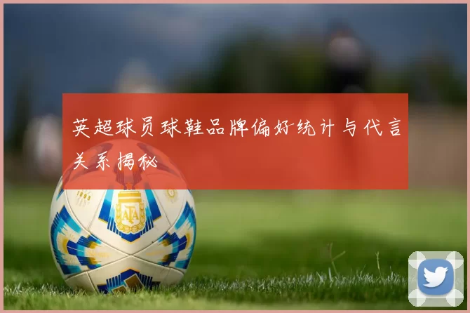 英超球员球鞋品牌偏好统计与代言关系揭秘