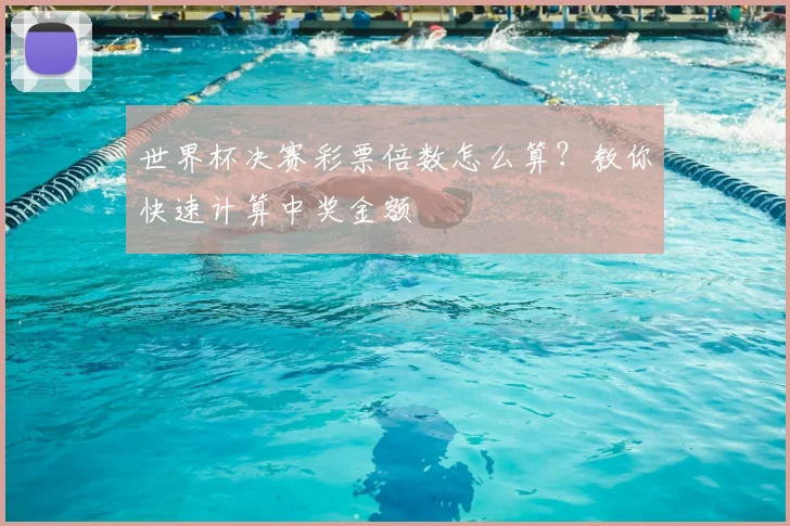 世界杯决赛彩票倍数怎么算?教你快速计算中奖金额