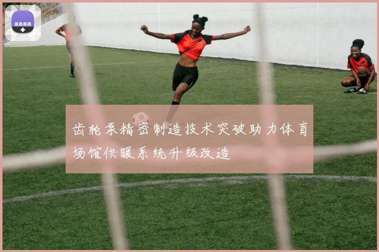 齿轮泵精密制造技术突破助力体育场馆供暖系统升级改造